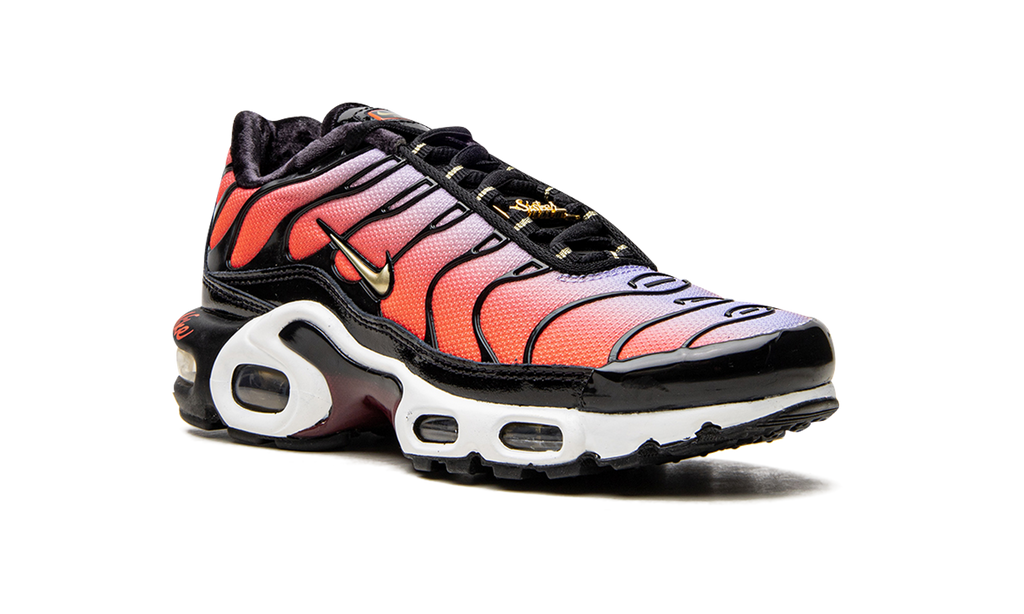 Nike AIR MAX PLUS MNS WMNS Sisterhood DO6115 500