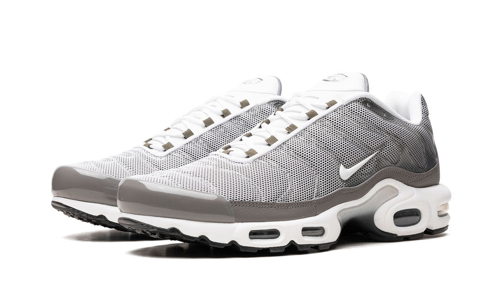 Nike Air Max Plus SE Flat Pewter DV7665 002