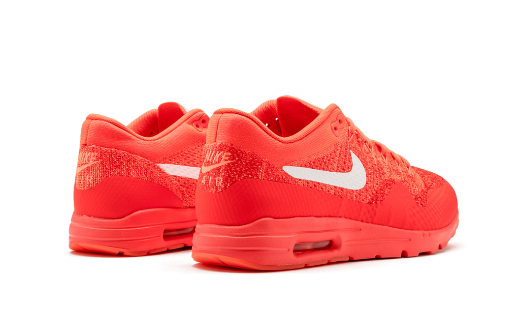 Nike AIR MAX 1 ULTRA FLYKNIT WMNS 843387 601