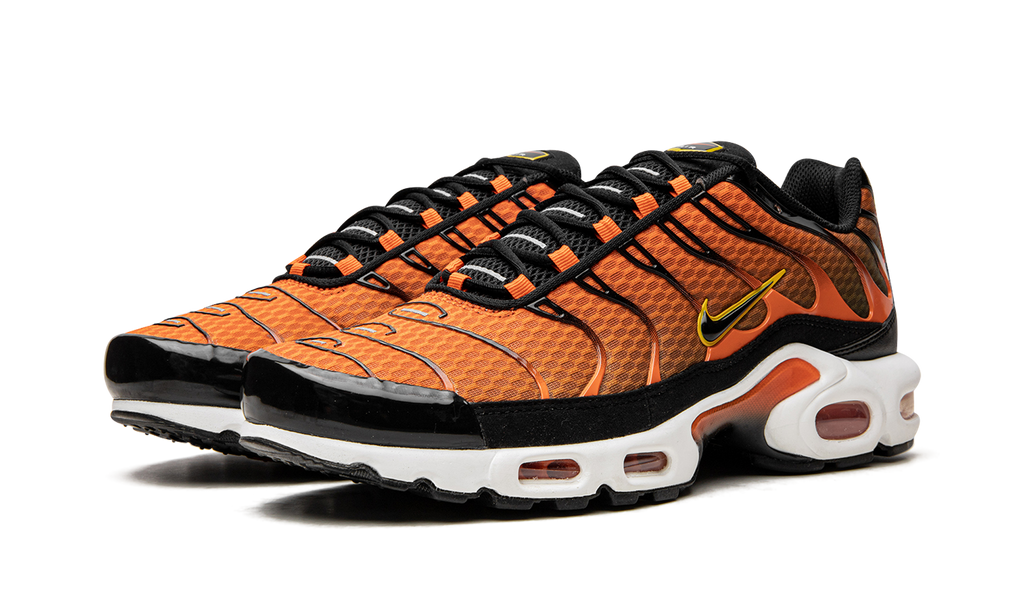 Nike Air Max Plus Safety Orange DM0032 800