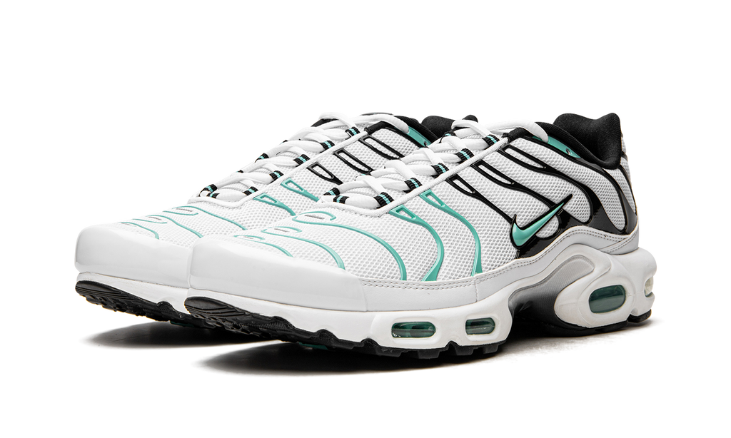 Nike Air Max Plus Atmos 604133 148