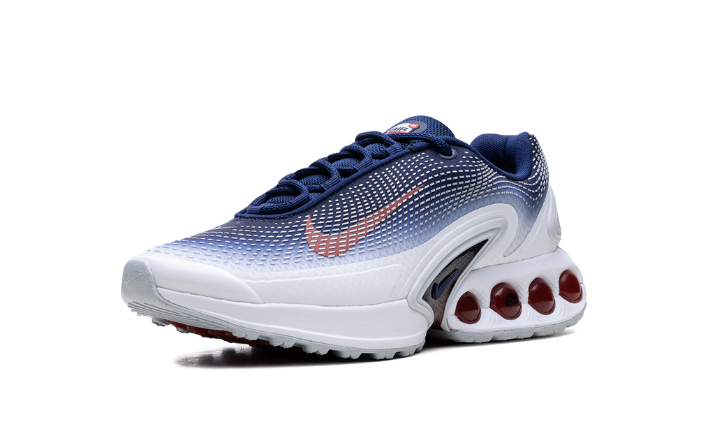 Nike Air Max Dn Team USA FV2250 100