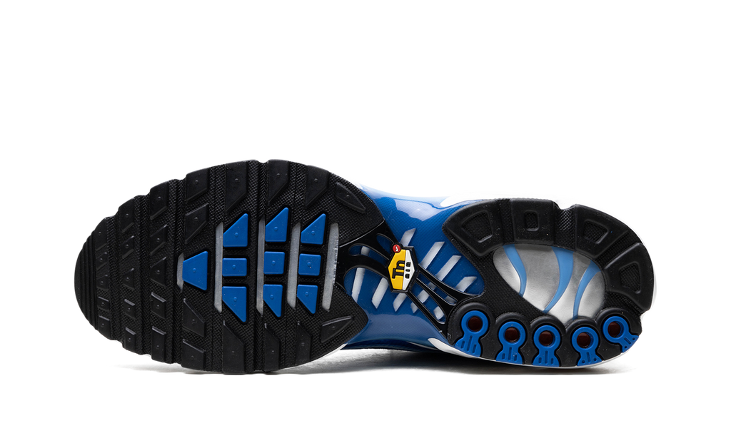 Nike Air Max Plus Light Streaks DZ3531 400