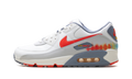 Nike Air Max 90 Premium Summit White Ashen Slate Pure Platinum Bright Crimson HJ9147 121
