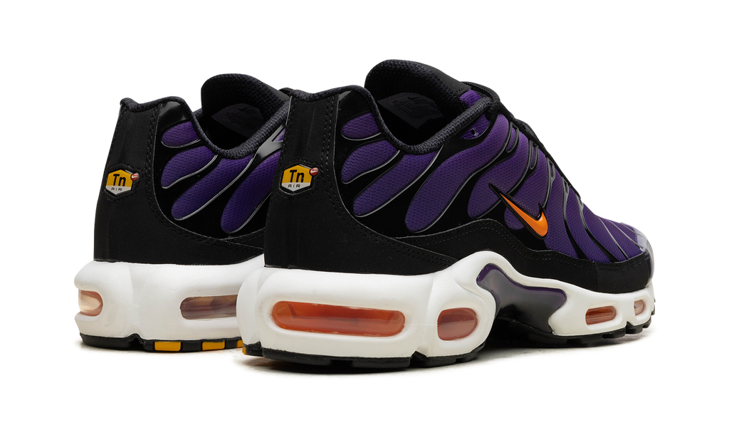 Nike Air Max Plus Voltage Purple DX0755 500