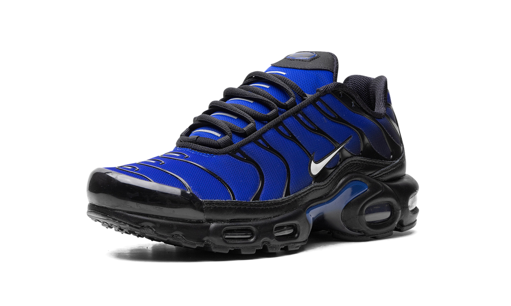 Nike AIR MAX PLUS Black FQ7331-001