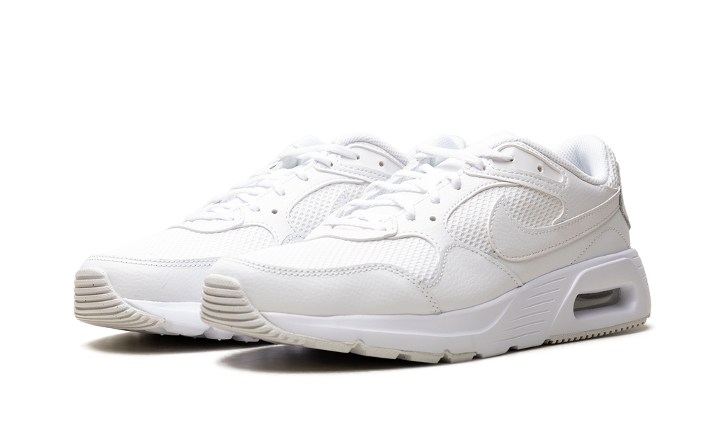 Nike Air MAX SC WMNS Photon Dust CW4554 101