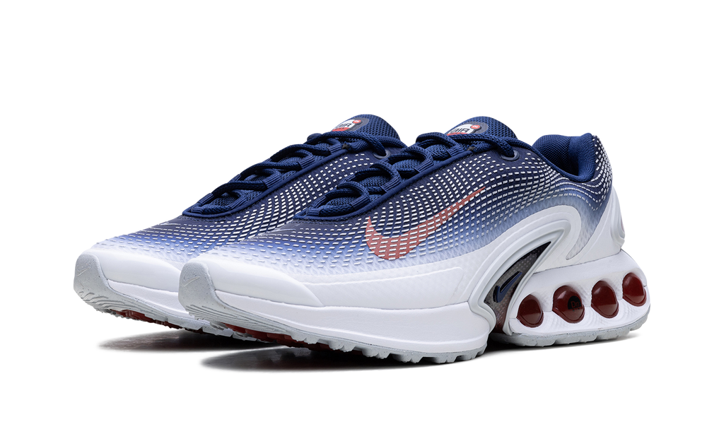 Nike Air Max Dn Team USA FV2250 100