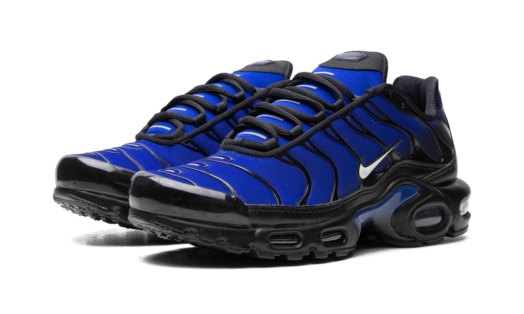 Nike AIR MAX PLUS Black FQ7331-001