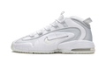 Nike Air Max Penny Pure Platinum DV7220 100