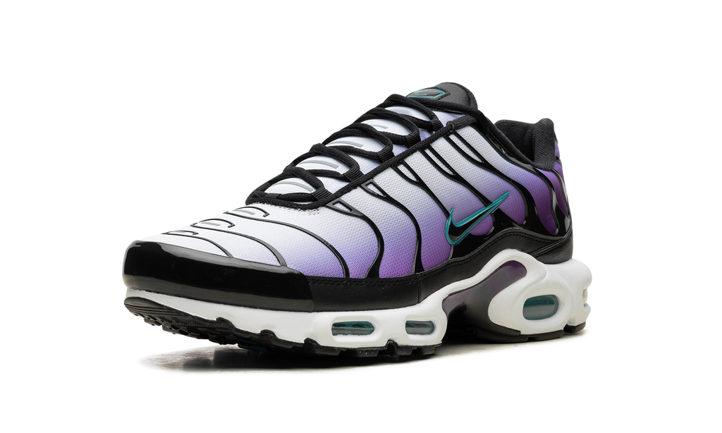 Nike Air Max Plus Reverse Grape FQ2415 500