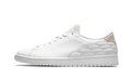 Air Jordan 1 Centre Court DJ2756 100