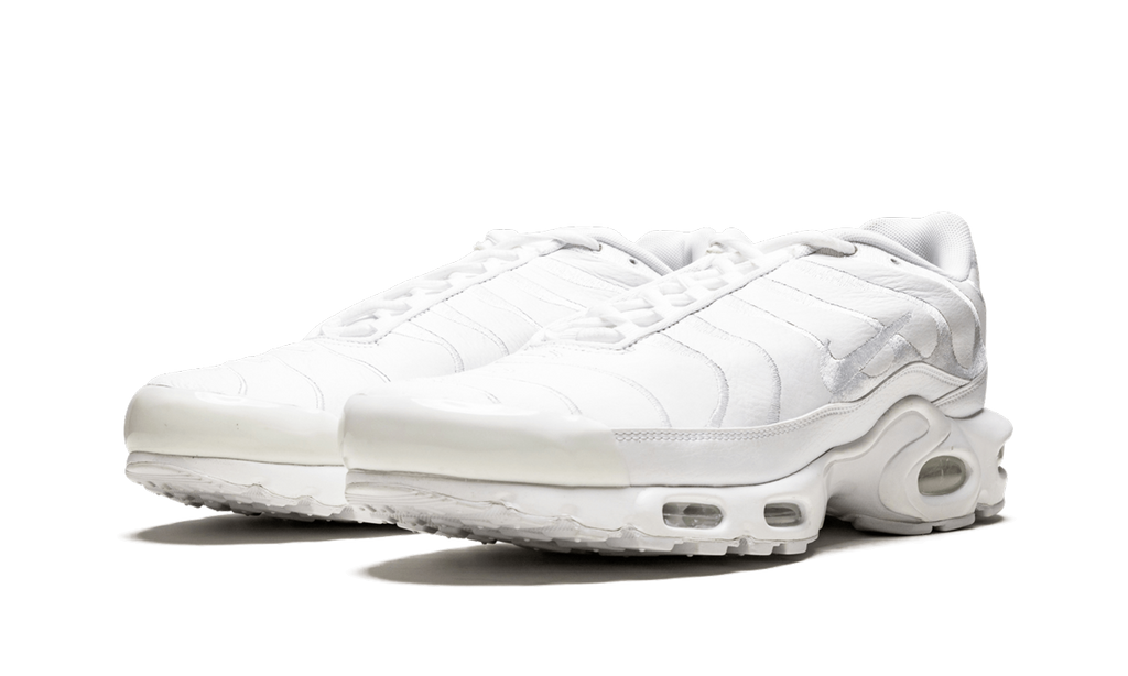 Nike Air Max Plus Triple Black AJ2029 001
