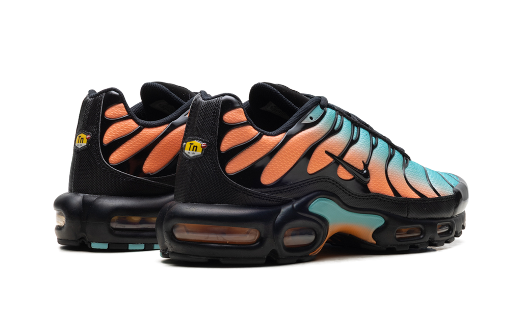 Nike Air Max Plus South Beach DM0032 022