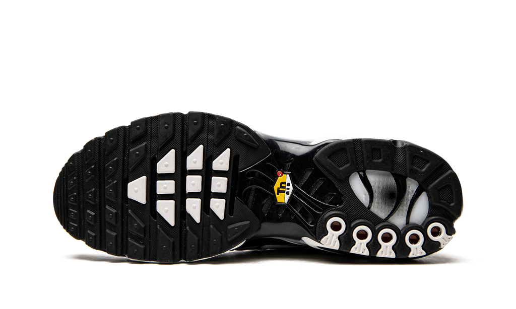 Nike Air Max Plus Black / Silver DM0032 003