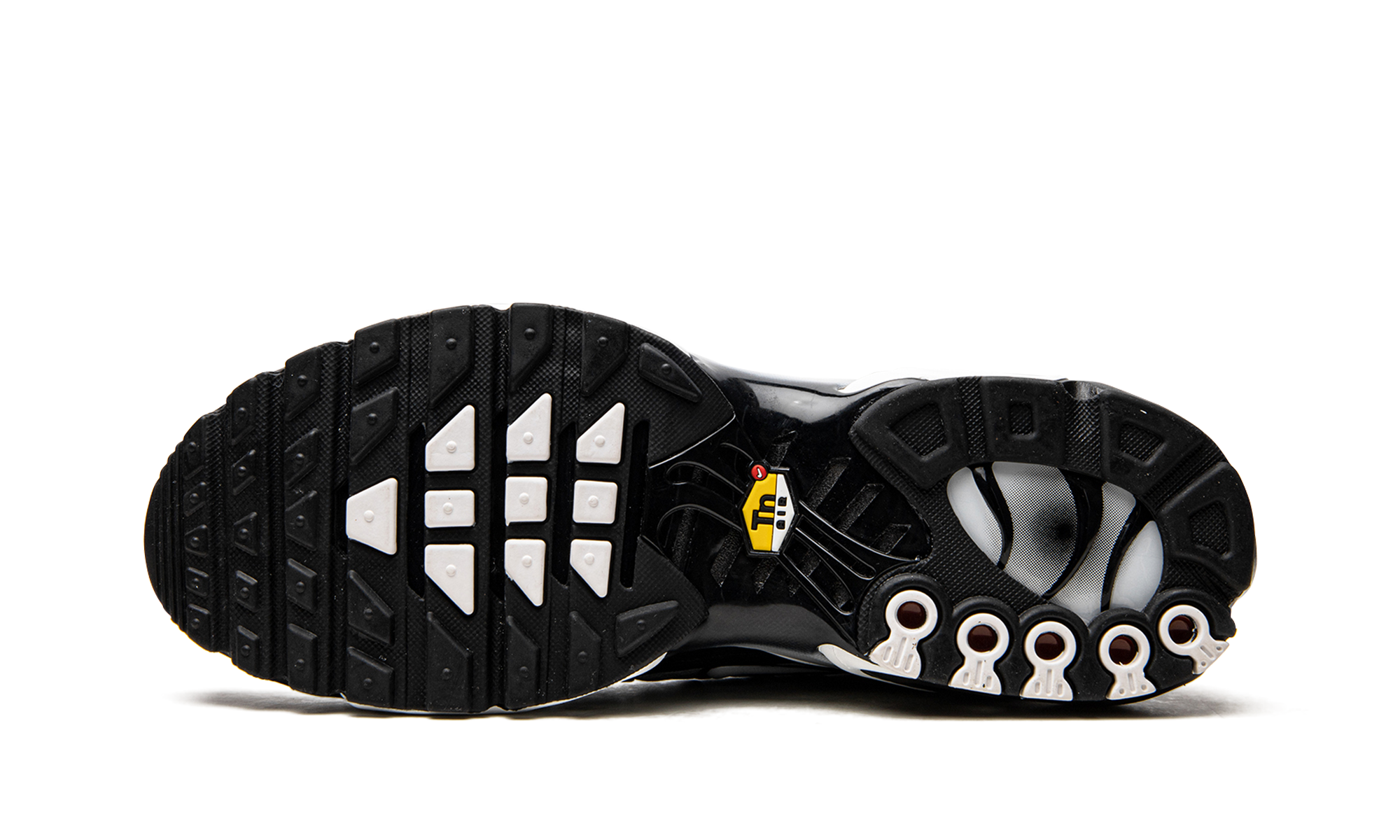 Nike Air Max Plus Black / Silver DM0032 003