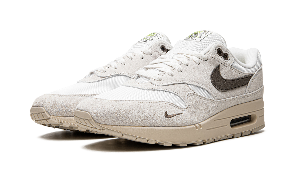 Nike Air Max 1 Sail Ironstone DZ4494 100