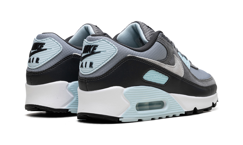 Nike Air Max 90 Pumice DM0029 009