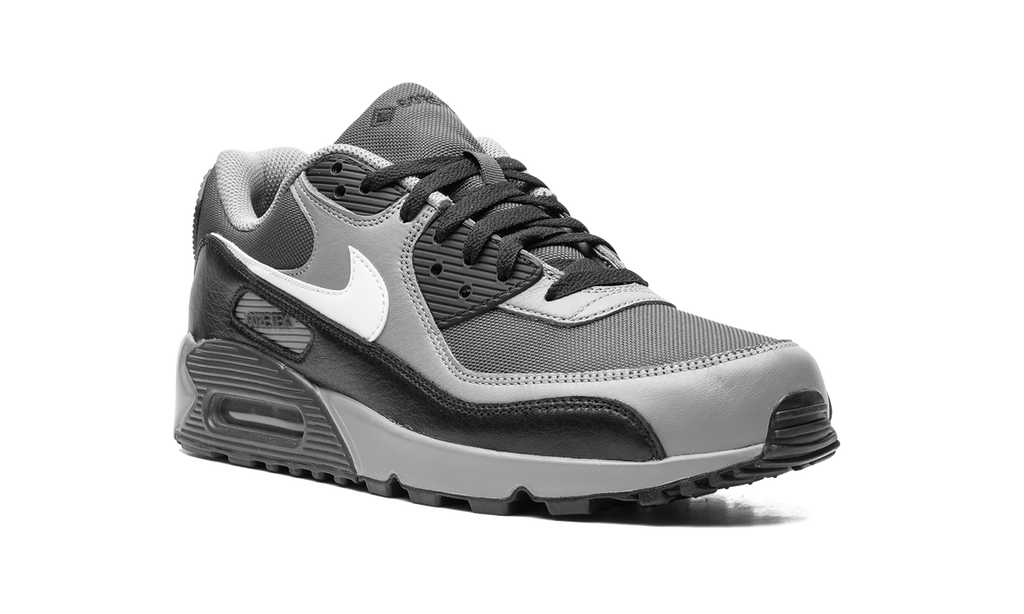 Nike Air Max 90 GORE-TEX Dark Smoke Grey FD5810 002