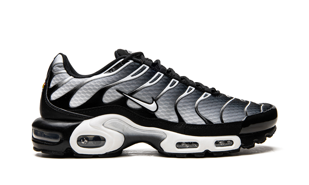 Nike Air Max Plus Black / Silver DM0032 003