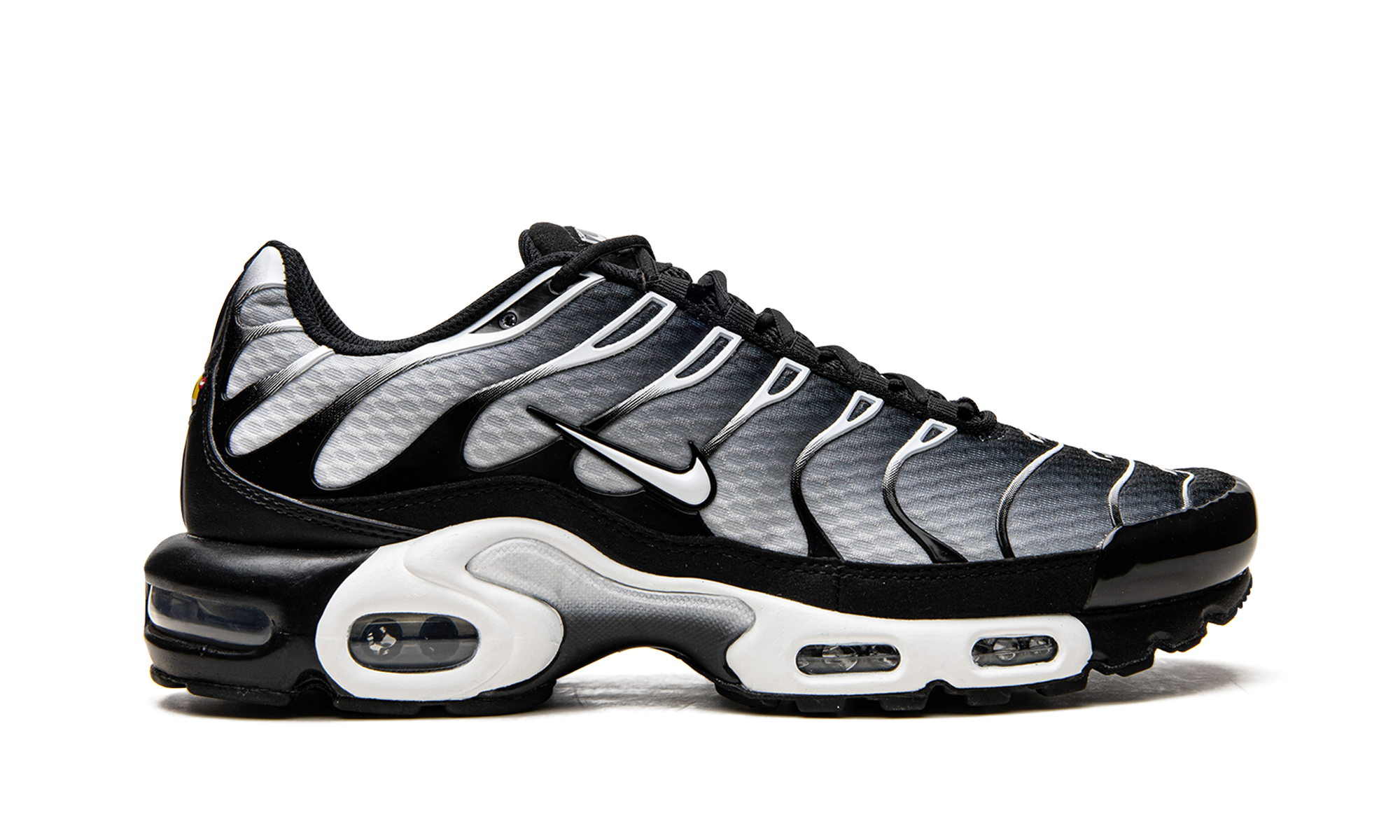 Nike Air Max Plus Black / Silver DM0032 003