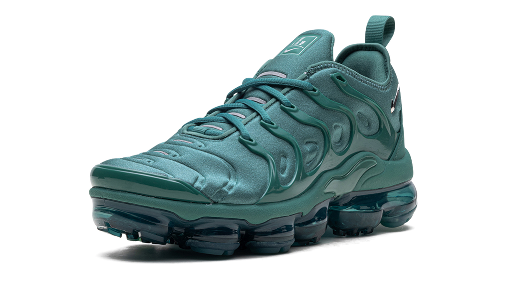 Nike Air Max VaporMax Plus WMNS Bicoastal HF5048 361