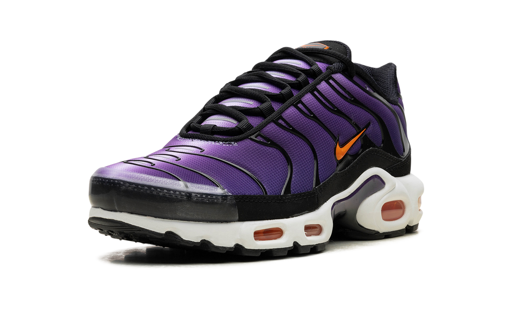 Nike Air Max Plus Voltage Purple DX0755 500