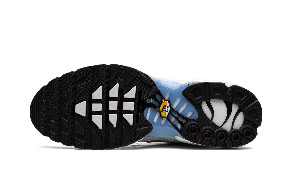 Nike Air Max Plus White University Blue DM0032 101