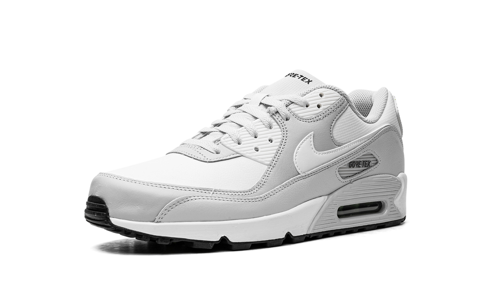 Nike Air Max 90 Gore-Tex DJ9779 003