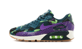 Nike OMENS AIR MAX 90 WMNS 807298 300