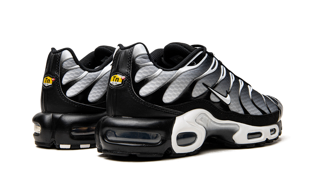 Nike Air Max Plus Black / Silver DM0032 003