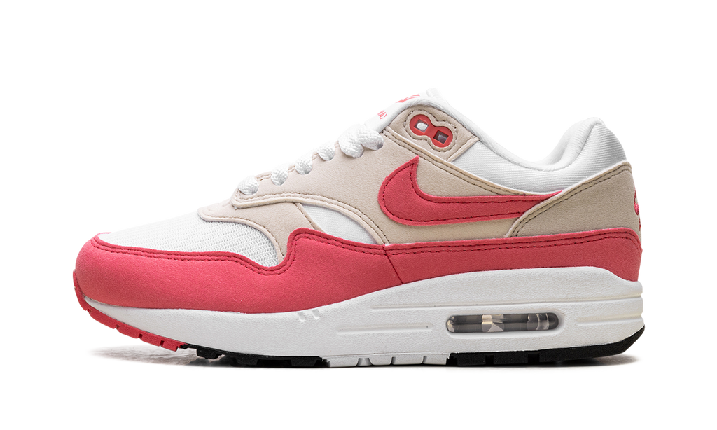 Nike Air Max 1 WMNS Aster Pink DZ2628 110