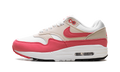Nike Air Max 1 WMNS Aster Pink DZ2628 110