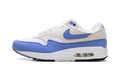 Nike Air Max 1 WMNS Royal Pulse DZ2628 113