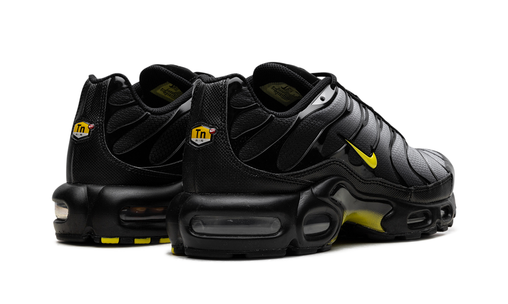 Nike Air Max Plus Wolf Grey Opti Yellow DM0032 012