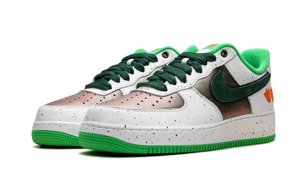 Nike Air Force 1 Low Ducks of a Feather University of Oregon IU7613 100