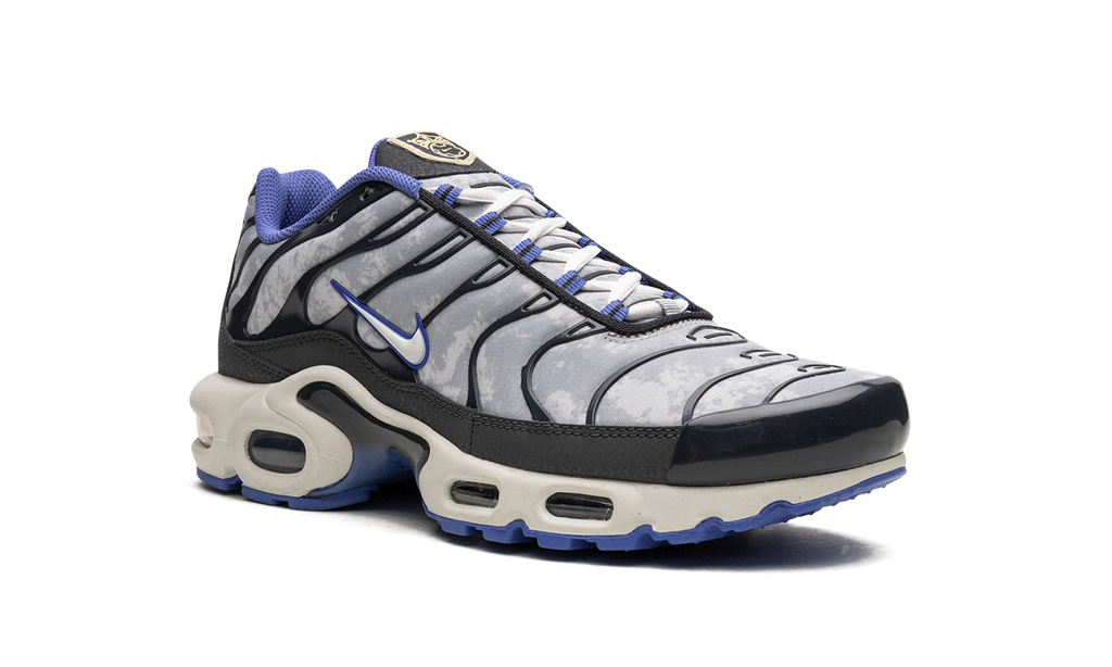 Nike Air Max Plus SE Social F.C. DQ3981 001