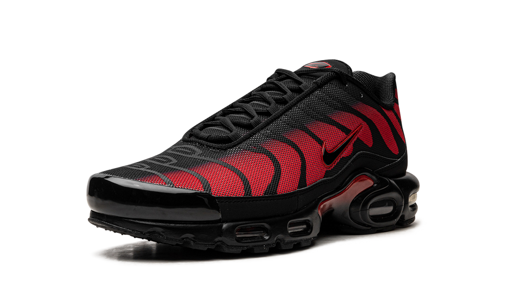 Nike Air Max Plus Bred Reflective DZ4507 600