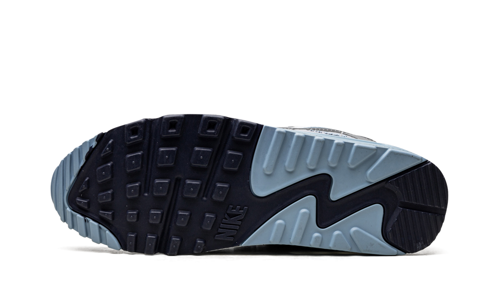 Nike Air Max 90 Pure Platinum Warm Blue DM0029 003