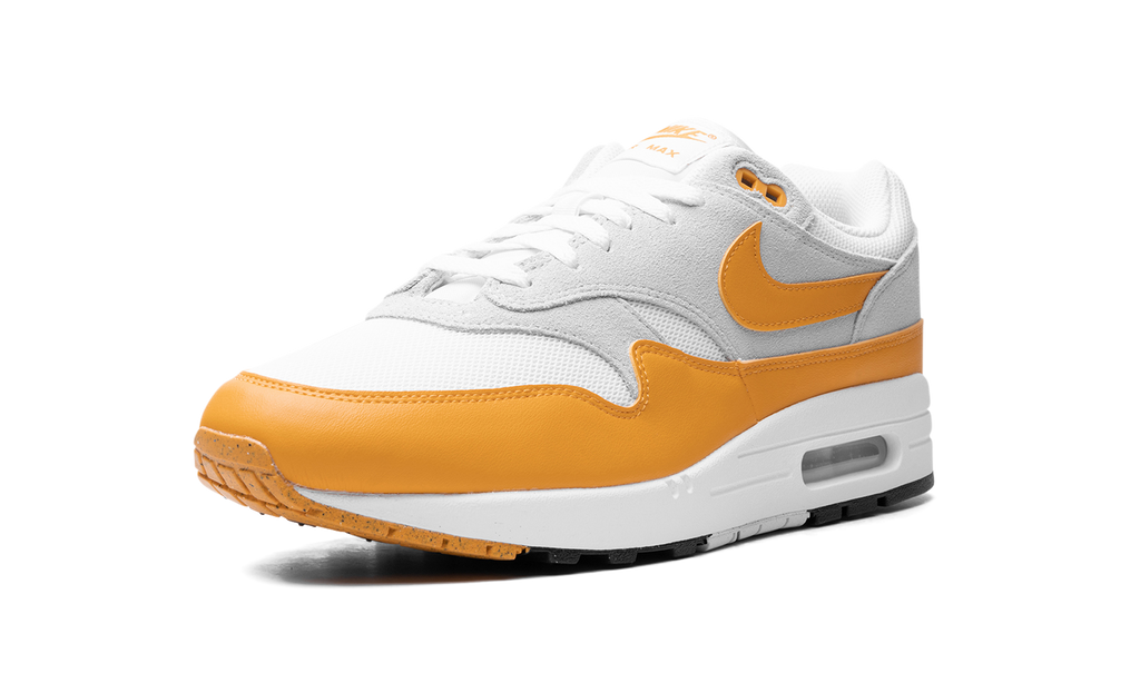 Nike Air Max 1 Gold FZ5808-100