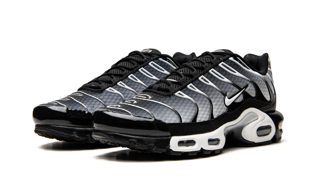 Nike Air Max Plus Black / Silver DM0032 003