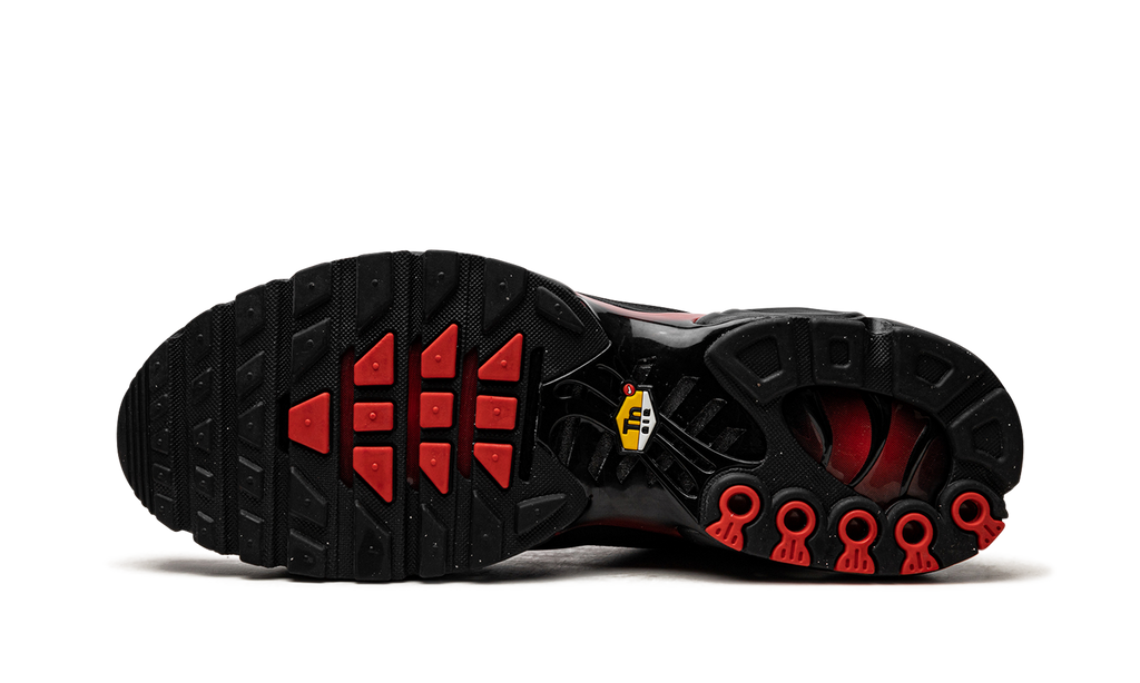Nike Air Max Plus Bred Reflective DZ4507 600
