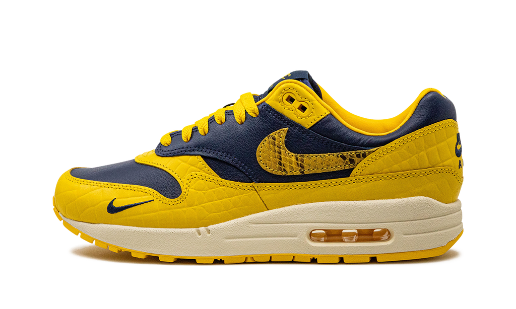 Nike AIR MAX 1 PRM MNS WMNS Co.jp Head to Head FJ5479 410