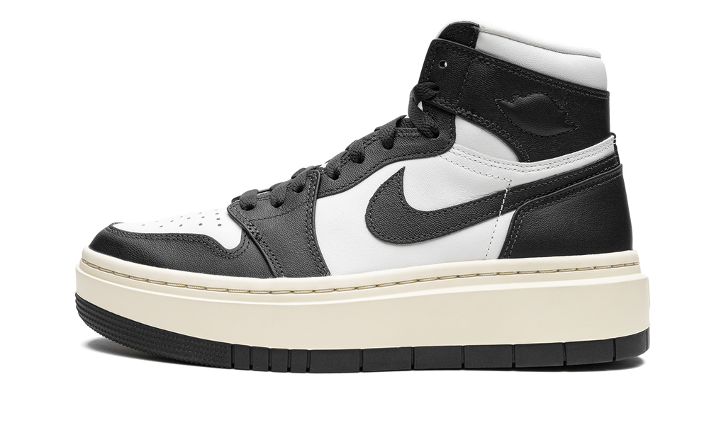 AIR JORDAN 1 ELEVATE HIGH WMNS Dark Ash DN3253 100