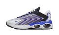 Nike Air Max TW Persian Violet DQ3984 105