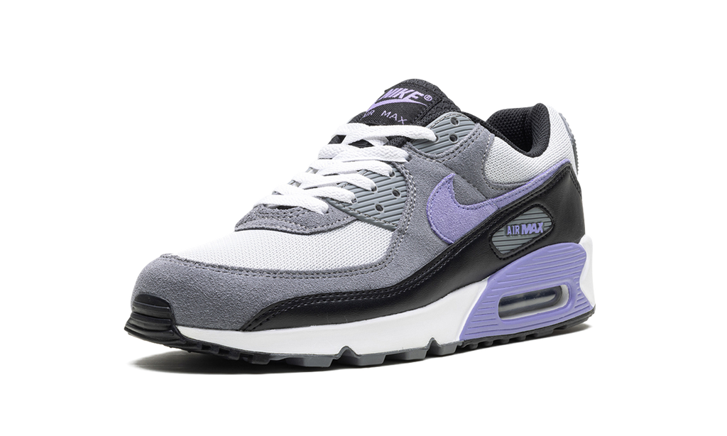 Nike Air Max 90 Light Thistle DM0029 014