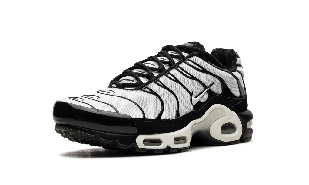 Nike Air Max Plus Oreo