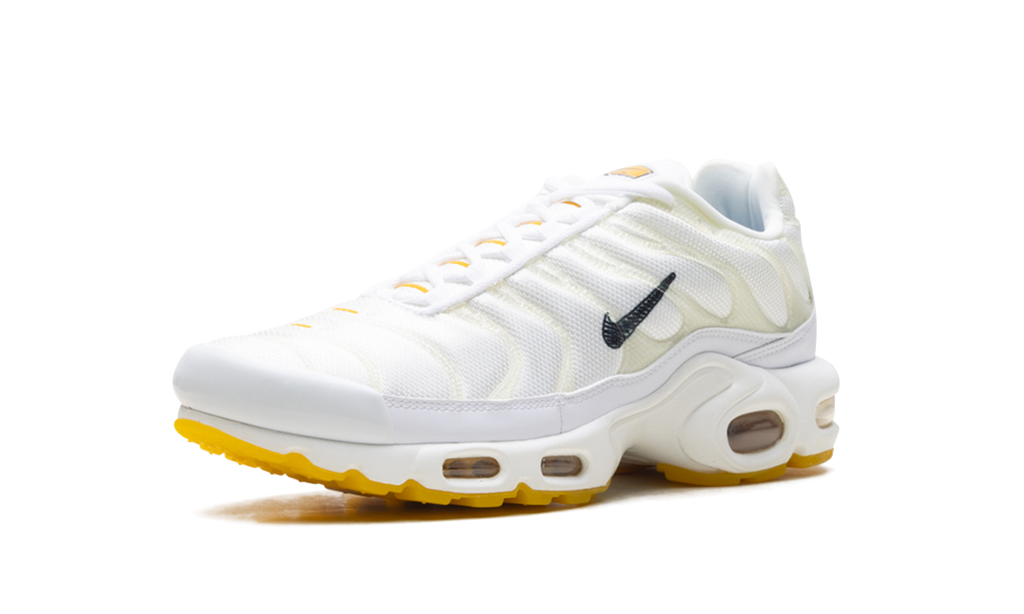 Nike Air Max Plus Marion Frank Rudy DQ8960 100
