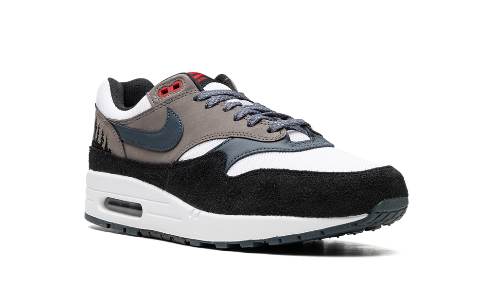 Nike Air Max 1 Slate Blue FJ0698 100