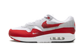 Nike Air Max 1 Low Poly HQ5882 100